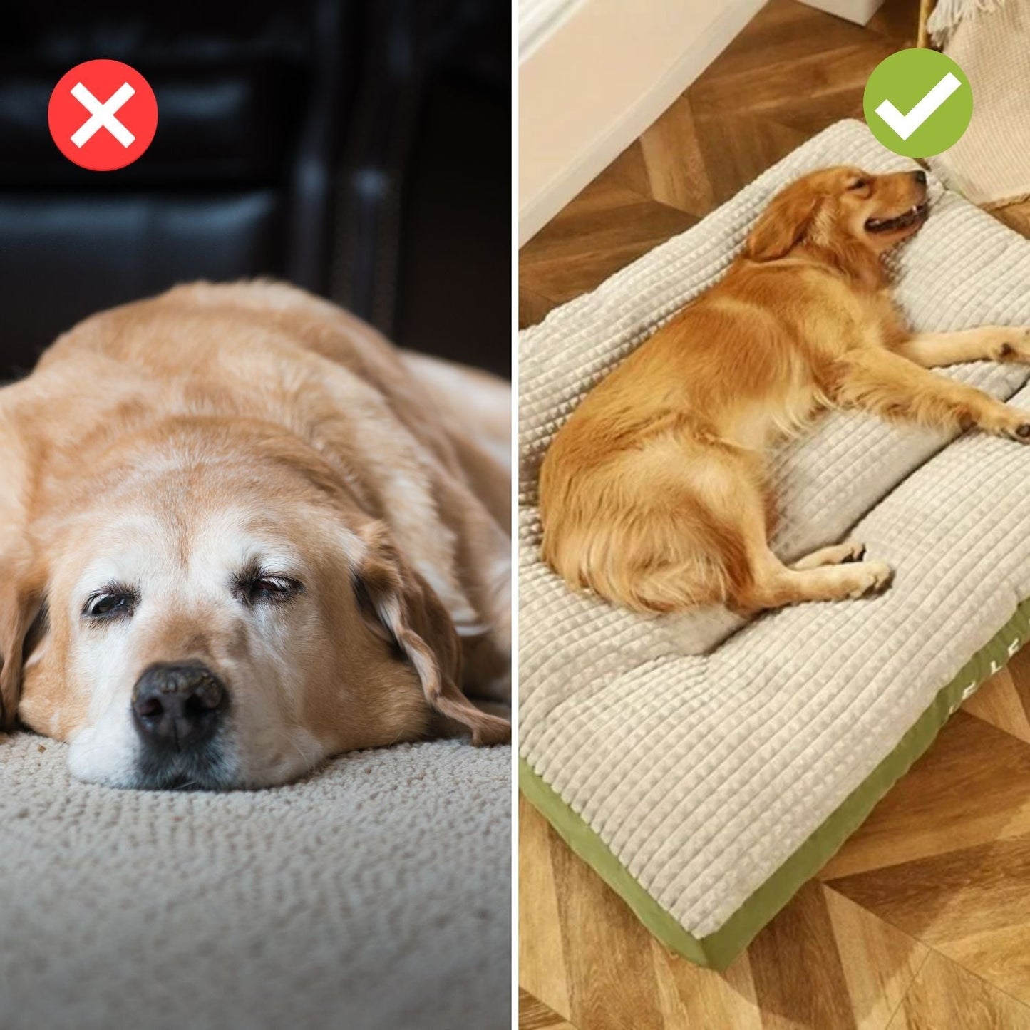 ComfyCanine Dog Bed | Firm Support Plush Comfort